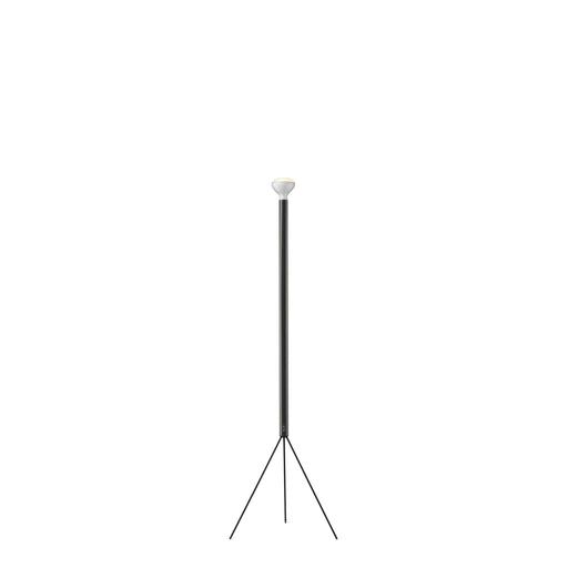 Flos Luminator Floor Lamp - MyConcept Hong Kong
