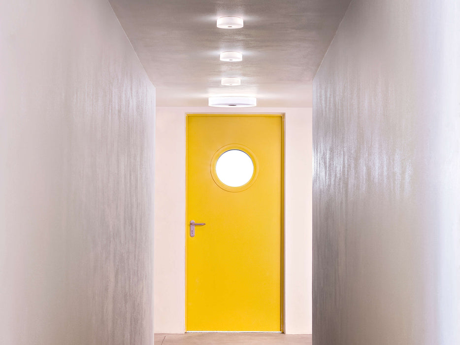 Flos Mini Button Wall And Ceiling Lamp - MyConcept Hong Kong