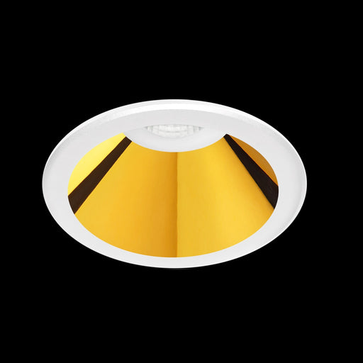 Shot Light - MyConcept Hong Kong