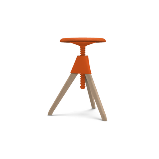 Jerry - The Wild Bunch - MyConcept Hong Kong