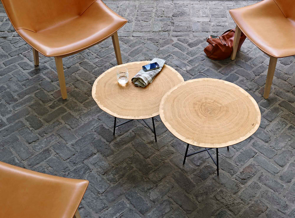 Ligne Roset Alburni Occasional Table Low Version - MyConcept Hong Kong