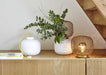 Ligne Roset Jali Vase - MyConcept Hong Kong