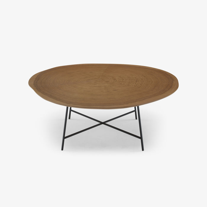 Ligne Roset Alburni Low Table - MyConcept Hong Kong