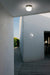 Scotch Ceiling/Wall Outdoor Lamp - MyConcept Hong Kong