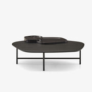 Ligne Roset Lewa Low Table - MyConcept Hong Kong