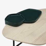 Ligne Roset Lewa Low Table - MyConcept Hong Kong