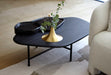 Ligne Roset Lewa Occasional Table - MyConcept Hong Kong
