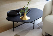 Ligne Roset Lewa Low Table - MyConcept Hong Kong