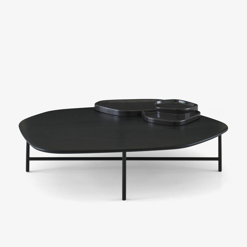 Ligne Roset Lewa Low Table - MyConcept Hong Kong