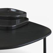 Ligne Roset Lewa Low Table - MyConcept Hong Kong