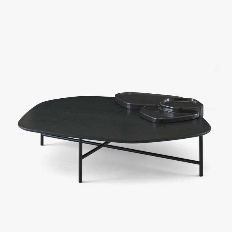 Ligne Roset Lewa Low Table - MyConcept Hong Kong