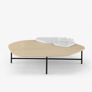 Ligne Roset Lewa Low Table - MyConcept Hong Kong