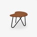 Ligne Roset Prefacto Low Table - MyConcept Hong Kong