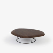 Ligne Roset Pebble Low Table Convex Top - MyConcept Hong Kong