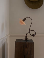 PH 1/1 Piano Table Lamp - adjustable head