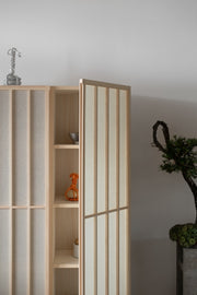 Nao Cabinet