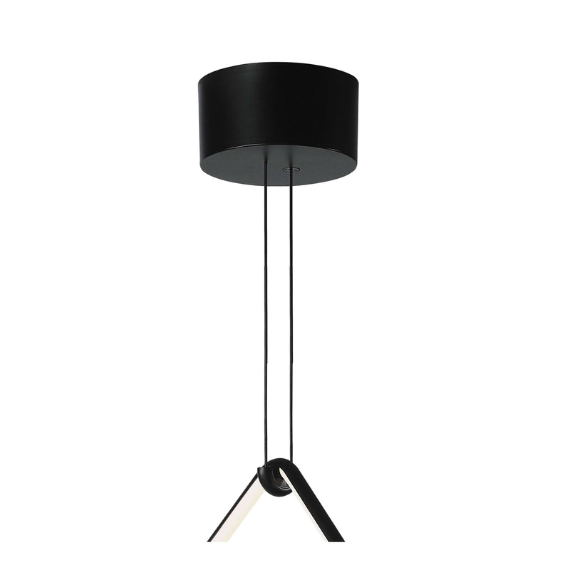 Flos Arrangements Big Rose Accessories - MyConcept Hong Kong