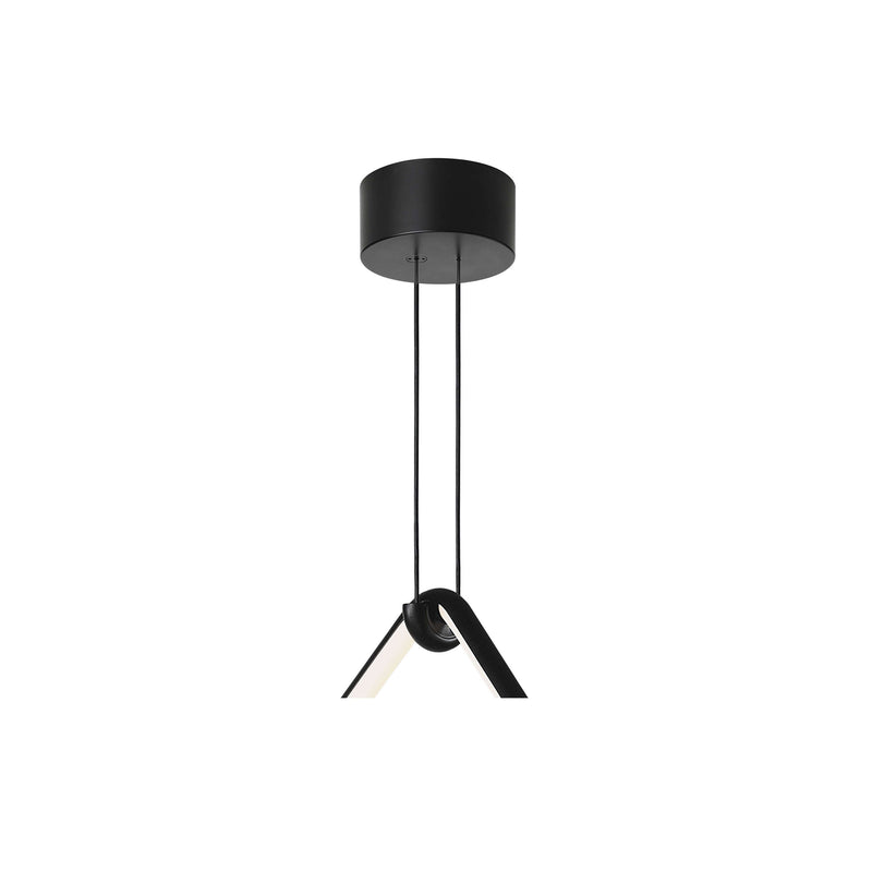 Flos Arrangements Small Rose Accessories - MyConcept Hong Kong