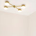 CELESTE AURORA Lamp - MyConcept Hong Kong