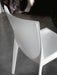 CATTELAN BEVERLY Chair - MyConcept Hong Kong