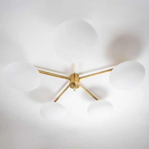 STELLA DAISY Lamp - MyConcept Hong Kong