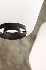 Dahl pendant lamp large
