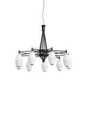 Dahl chandelier