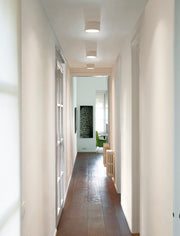Domo Ceiling Lamp - MyConcept Hong Kong