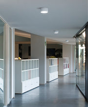 Domo Ceiling Lamp - MyConcept Hong Kong