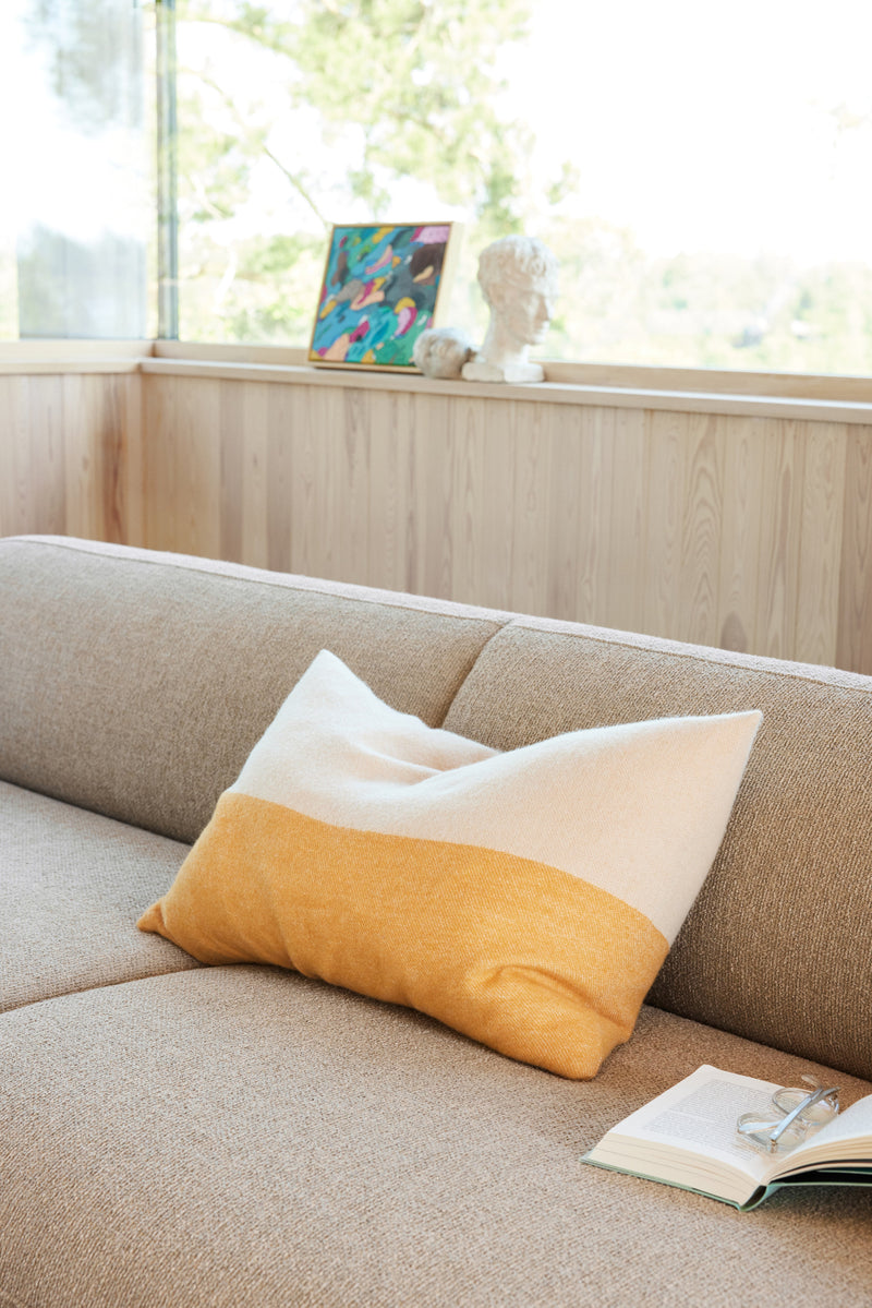 Echo cushion cover
