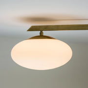 STELLA FAN Lamp - MyConcept Hong Kong