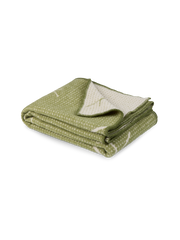 Fall throw blanket Green