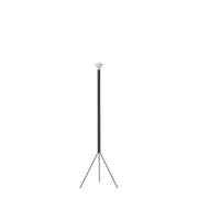 Flos Luminator Floor Lamp - MyConcept Hong Kong