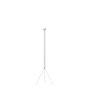 Flos Luminator Floor Lamp - MyConcept Hong Kong
