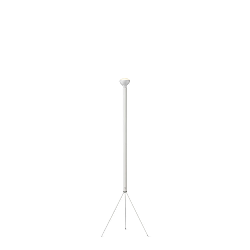 Flos Luminator Floor Lamp - MyConcept Hong Kong