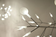 HERACLEUM II - MyConcept Hong Kong