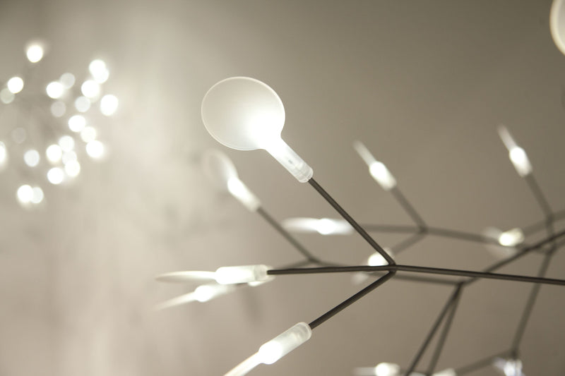 HERACLEUM II - MyConcept Hong Kong