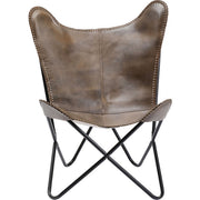Armchair California - MyConcept Hong Kong