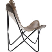 Armchair California - MyConcept Hong Kong