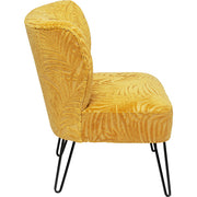 Armchair Palm Springs - MyConcept Hong Kong
