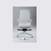 Smartlight EX1 Executive Chair - MyConcept Hong Kong
