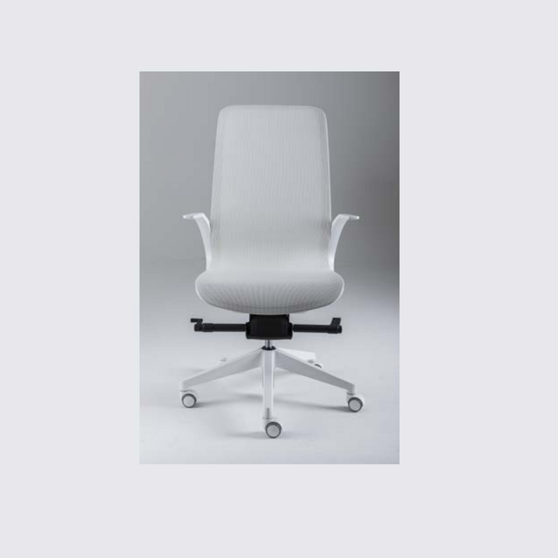 Smartlight EX1 Executive Chair - MyConcept Hong Kong