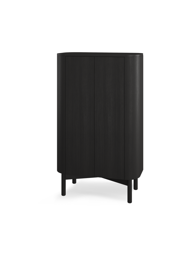Loud cabinet Black painted oak