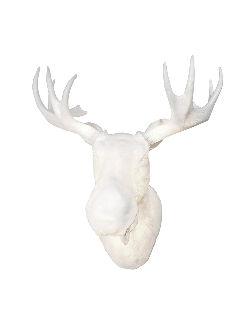 Moo wall lamp White