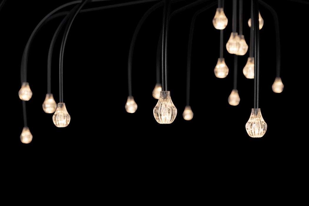 Starfall Suspension Light - MyConcept Hong Kong