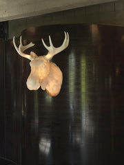 Moo wall lamp