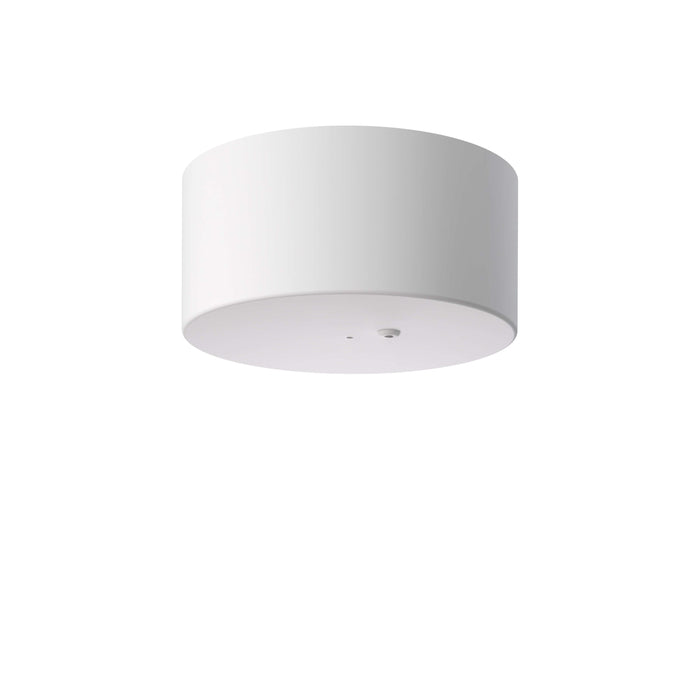 Flos My Disc Rose Accessories - MyConcept Hong Kong