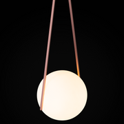 NomNom Light - MyConcept Hong Kong