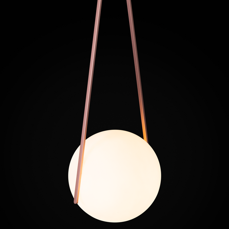 NomNom Light - MyConcept Hong Kong