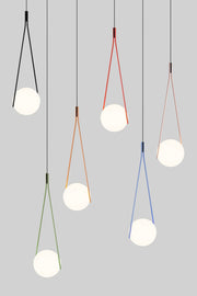 NomNom Light - MyConcept Hong Kong